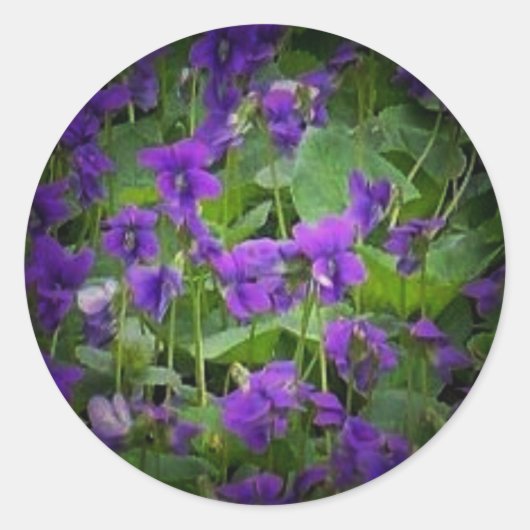 WI木製のスライトステッカー ラウンドシール (正面)