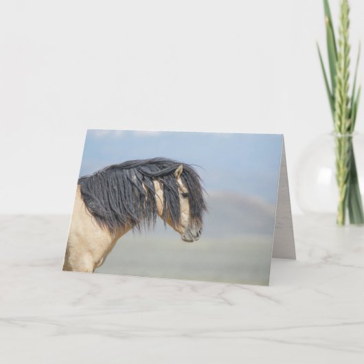 Wicahpi Hinhpaya (スター落ちた)カー空白のド シーズンカード (正面)