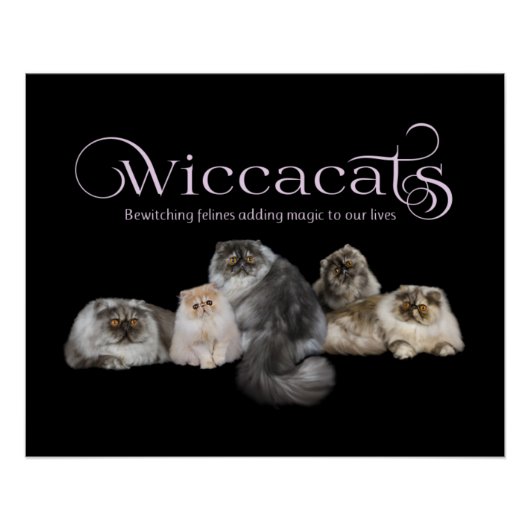 WiccaCatsポスター ポスター (正面)