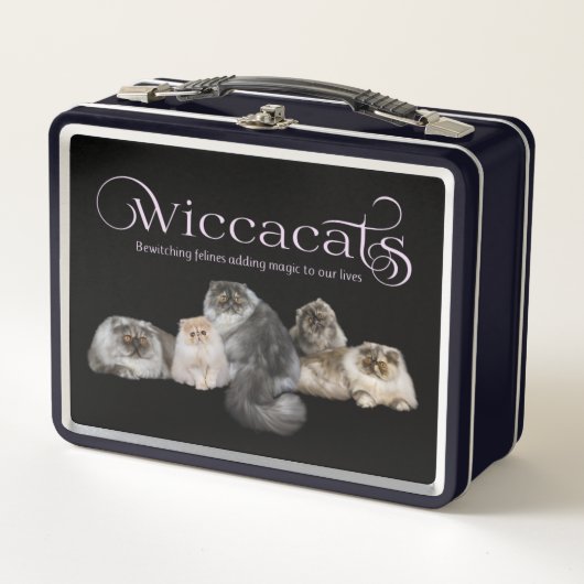 WiccaCatsメタルボックス メタルランチボックス (正面)