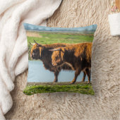 Wicken Fen cattle クッション (ブランケット)