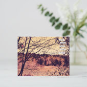 Wide Open宇宙IIはがき ポストカード (スタンド正面)