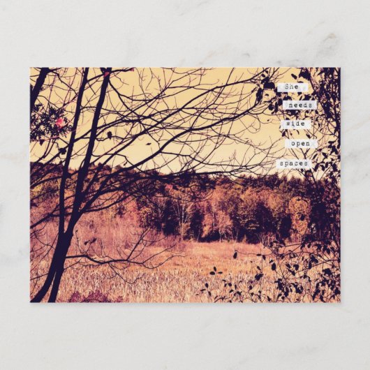 Wide Open宇宙IIはがき ポストカード (正面)