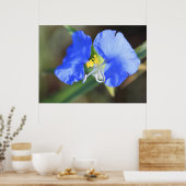 Widows Tearsポスター ポスター (キッチン)