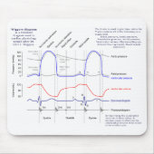 Wiggersの図表 マウスパッド (正面)