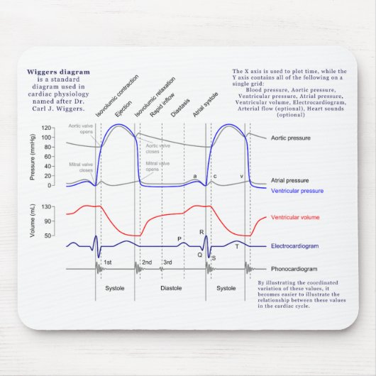 Wiggersの図表 マウスパッド (正面)