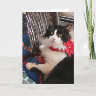 Wilburの休日の挨拶状 シーズンカード