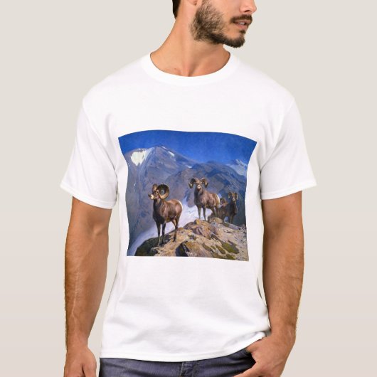 WilcoxパスのカールRungiusビッグホーン羊 Tシャツ (正面)