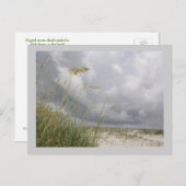 WIldブルーヨンダー ポストカード (正面/裏面)