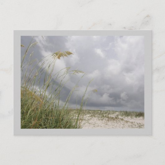 WIldブルーヨンダー ポストカード (正面)