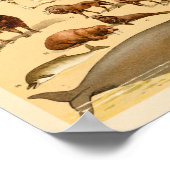 Wild Animal Collection Elephant Giraffe Art Print ポスター (角)