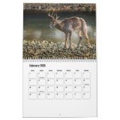 Wild Animals Calendar カレンダー (2月 2026)