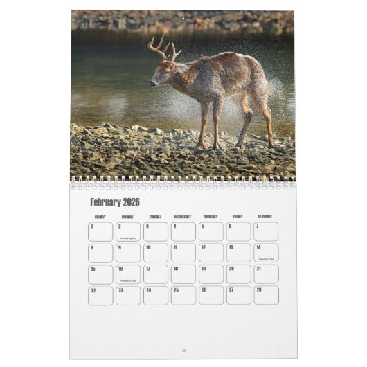 Wild Animals Calendar カレンダー (2月 2026)