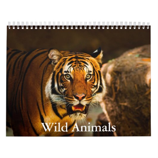 Wild Animals Calendar カレンダー (カバー)
