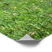 Wild Boar ポスター (角)