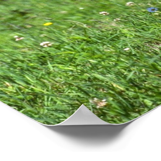 Wild Boar ポスター (角)