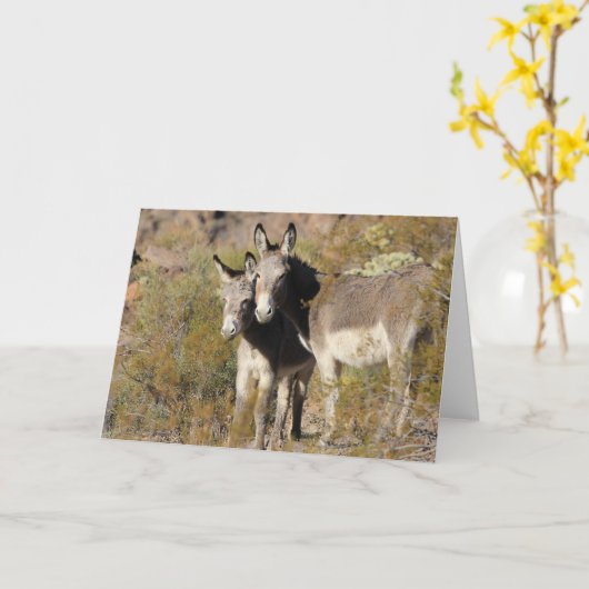 Wild Burros Greeting カード (黄色い花)