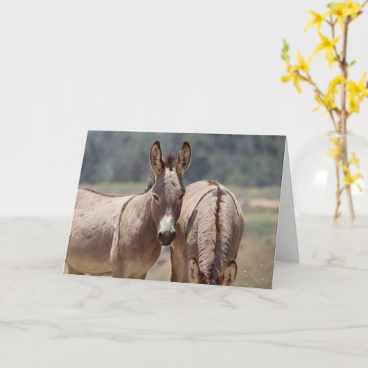 Wild Burros Greeting カード (黄色い花)