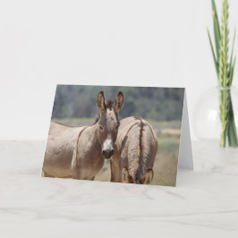 Wild Burros Greeting カード