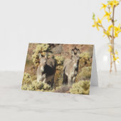 Wild Burros Greeting カード (黄色い花)