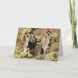 Wild Burros Greeting カード