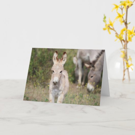 Wild Burros Greeting カード (黄色い花)