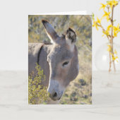Wild Burros Greeting カード (黄色い花)