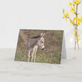 Wild Burros Greeting カード (黄色い花)