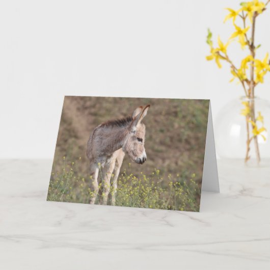 Wild Burros Greeting カード (黄色い花)