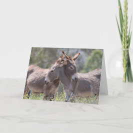 Wild Burros Greeting カード
