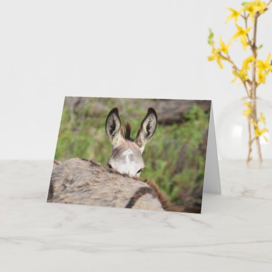 Wild Burros Greeting カード (黄色い花)