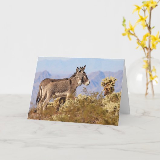 Wild Burros of Arizona カード (黄色い花)
