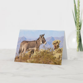 Wild Burros of Arizona カード