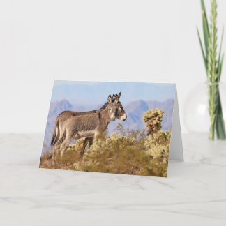 Wild Burros of Arizona カード