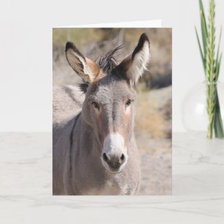 Wild Burros of California カード