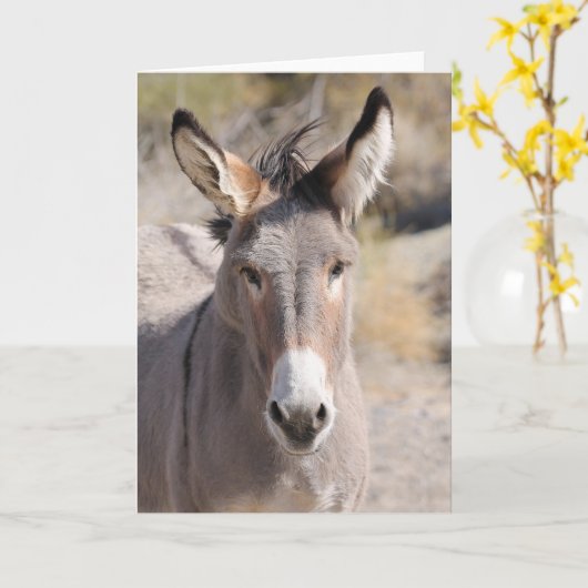 Wild Burros of California カード (黄色い花)