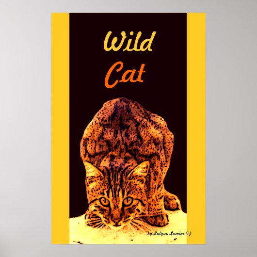 WILD CAT KITTEN ポスター (正面)