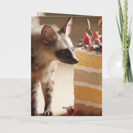 Wild Curiosity & Layered Cake カード (裏面)