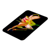 Wild Daylily On A Dark Morning Hike マグネット (左側)