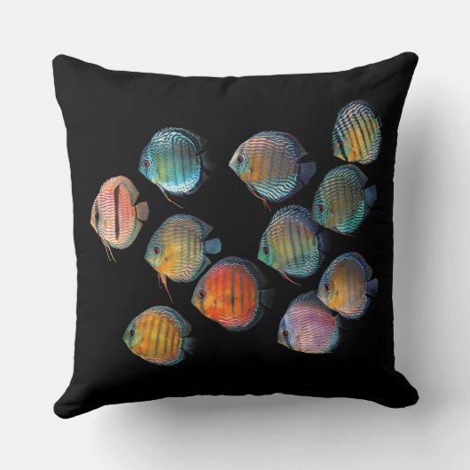 Wild Discus クッション (裏面)