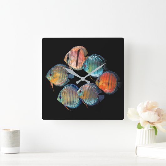 Wild Discus fish スクエア壁時計 (ホーム)
