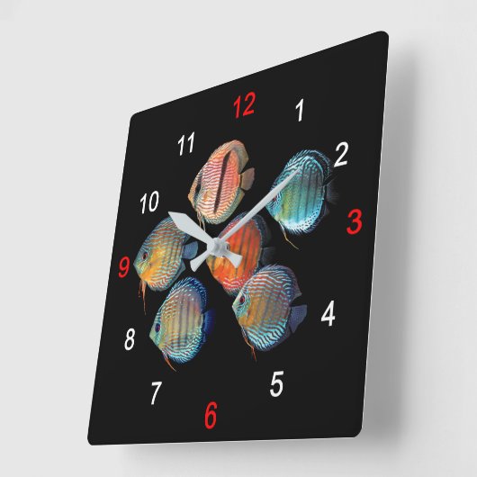 Wild Discus fish スクエア壁時計 (傾斜)