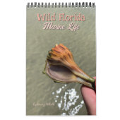 Wild Florida Marine Snails Hermit Crabs Custom カレンダー (カバー)