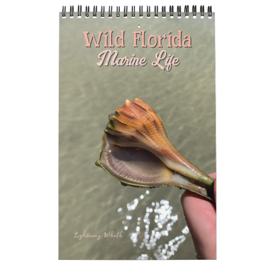 Wild Florida Marine Snails Hermit Crabs Custom カレンダー (カバー)