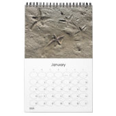 Wild Florida Marine Snails Hermit Crabs Custom カレンダー (1月 2026)