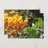 Wild Flower 感謝卡 サンキューカード (正面/裏面)