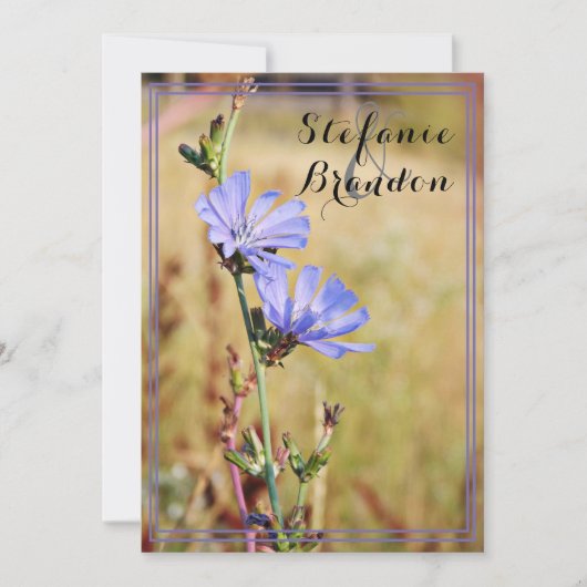 Wild Flowers in the 結婚 Morning's 招待状 (正面)