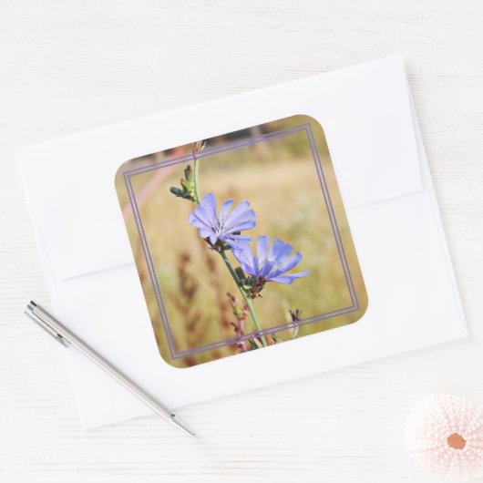 Wild Flowers in the Morning スクエアシール (封筒)