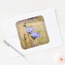 Wild Flowers in the Morning スクエアシール