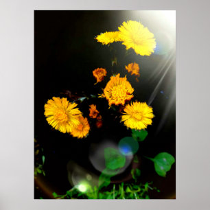 Wild flowers in the sunshine ポスター
